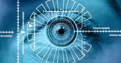 eye, iris, biometrics