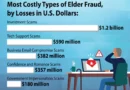 FBI statistics showing the break down of elder fraud. $1.2 million in investment scams is on the top. which is twice as much as the second, tech support scams