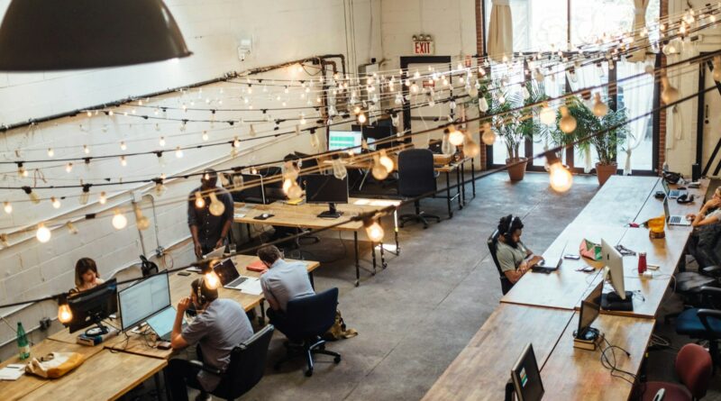 people sitting in front of computer monitors