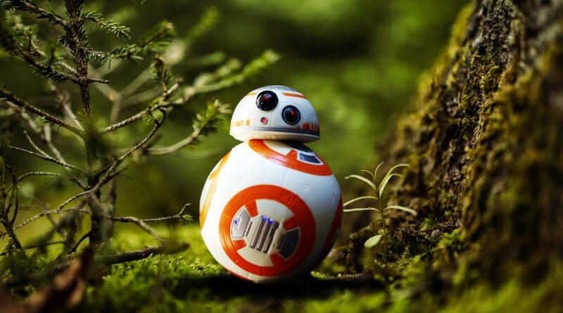 bb-8, star wars, robot, forest, nature, disney, bb8-droid, droids, cosmos, space, star wars, star wars, star wars, star wars, star wars, disney, disney