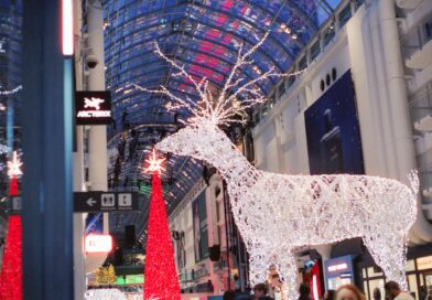 Christmas reindeer decoration inside a modern building.