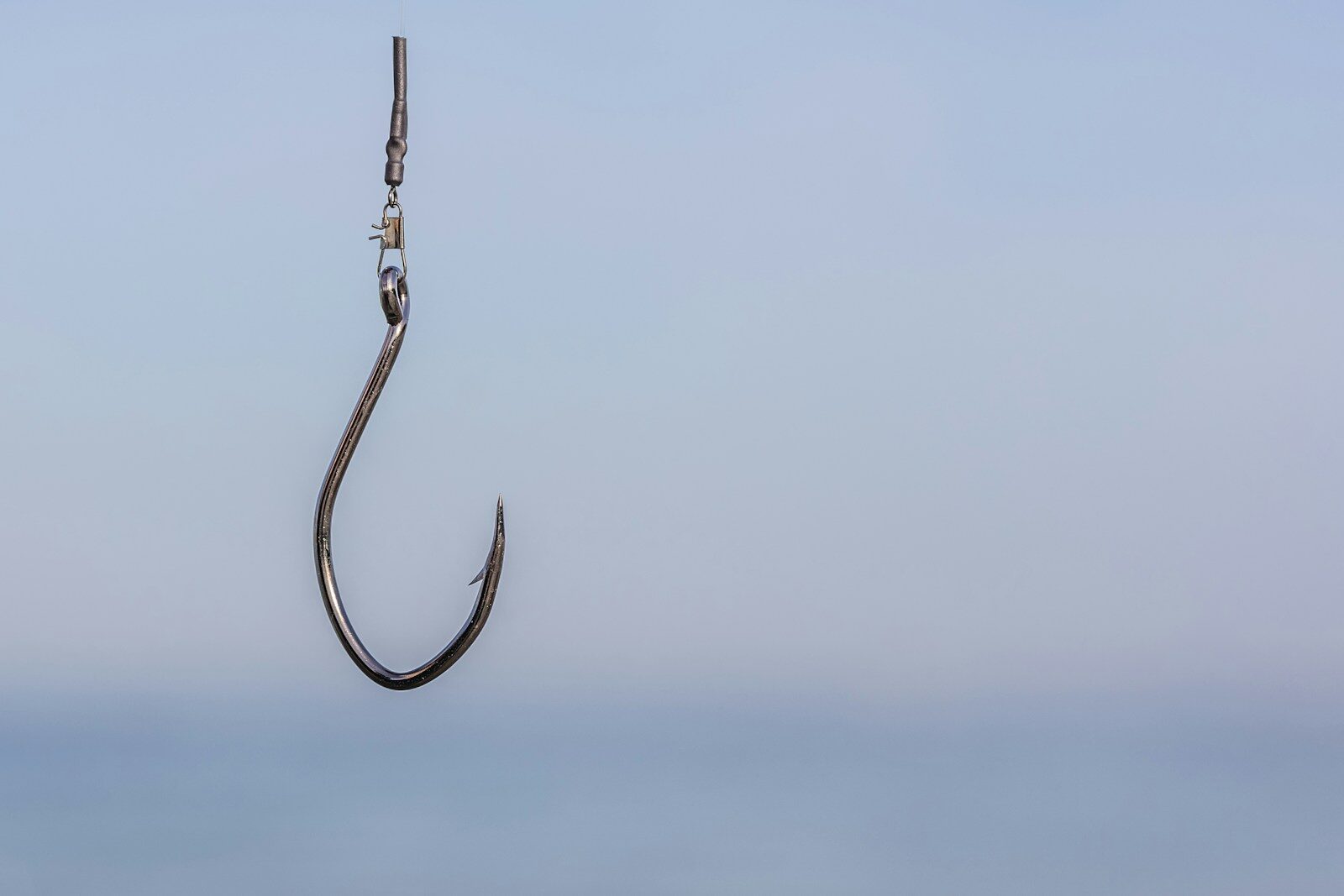 Haven free AI Security Companion protects from phishing