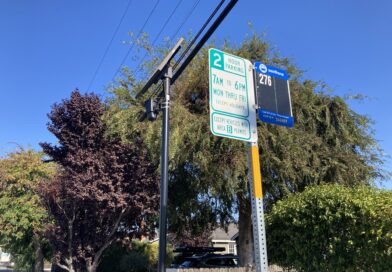 Flock Camera in Redwood city California